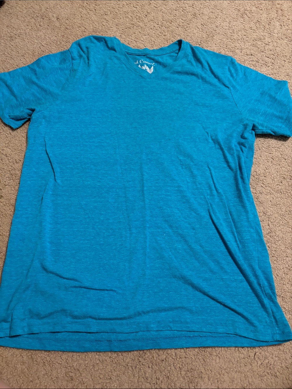 Teal V-Neck Short Sleeve Men's Tee